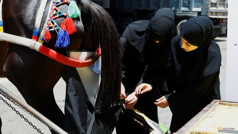'Horse diapers' keep Gaza streets clean