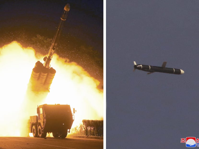 North Korea test-fired a new "long-range cruise missile" over the weekend, calling it a "strategic weapon of great significance". North Korea test-fired a new "long-range cruise missile" over the weekend, calling it a "strategic weapon of great significance".