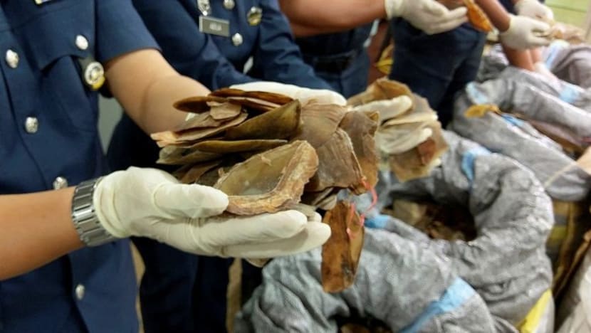 Kastam Sabah rampas 8,000kg sisik tenggiling bernilai RM100 juta