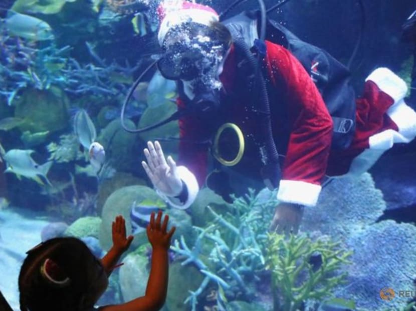 Happy Fishmas - Thai aquarium gets surprise Santa visit Happy Fishmas - Thai aquarium gets surprise Santa visit