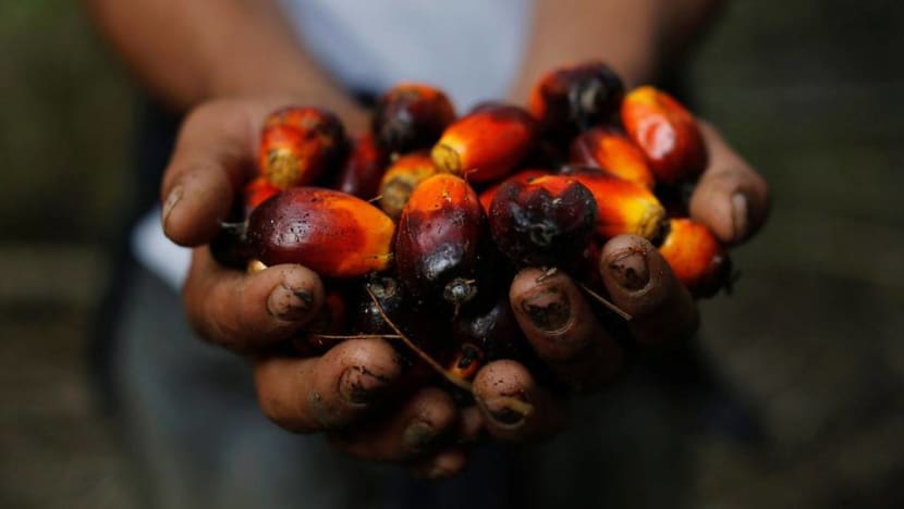 Action to be taken against private school in Malaysia for anti-palm oil performance