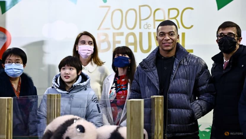 Soccer star Mbappe becomes godfather to panda cub Soccer star Mbappe becomes godfather to panda cub