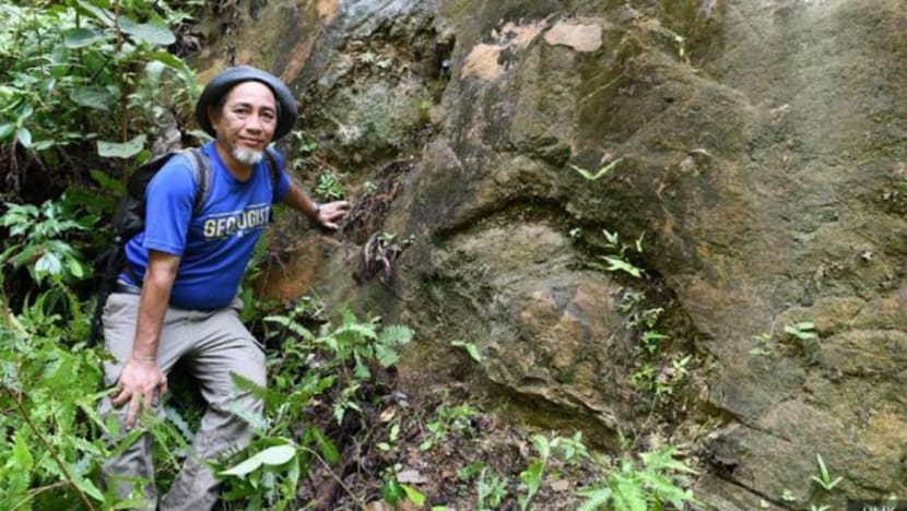 Penyelidik temui fosil tapak kaki dinosaur di Bukit Panau di Kelantan