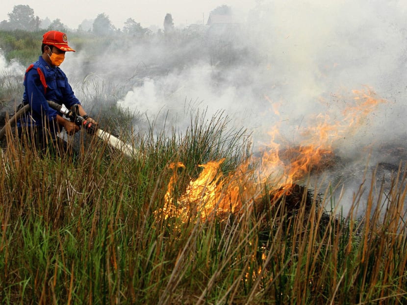 A firefighter puts out a fire in South Sumatra, Indonesia in October 2015. Photo: AFP