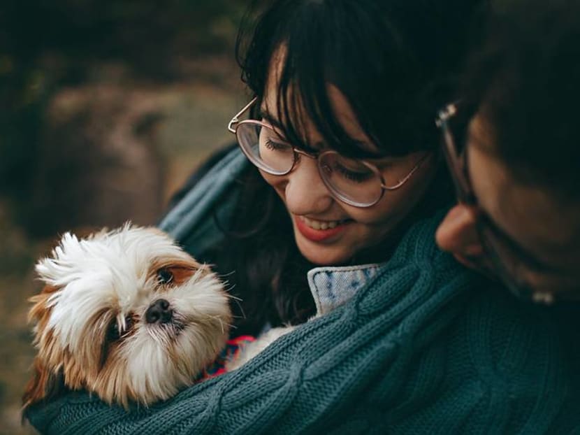 Losing a pet can be extremely hard. But can it also make you stronger? Losing a pet can be extremely hard. But can it also make you stronger?