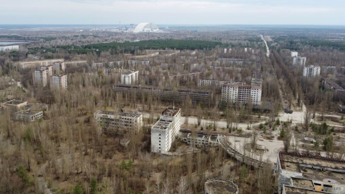 Tentara Rusia yang tidak memiliki pelindung mengganggu debu radioaktif di ‘Hutan Merah’ Chernobyl, kata para pekerja