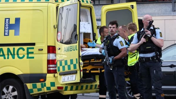 Copenhagen mall shooting suspect had mental health issues: Police