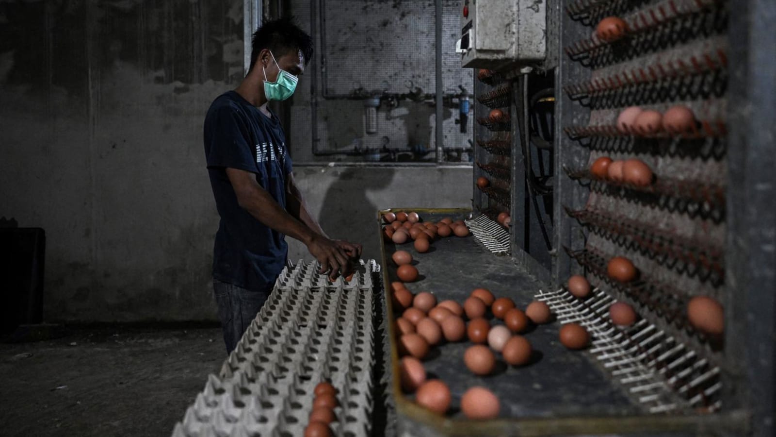 Malaysian domestic trade ministry pledges to solve egg shortage problem in KL, warns against panic buying