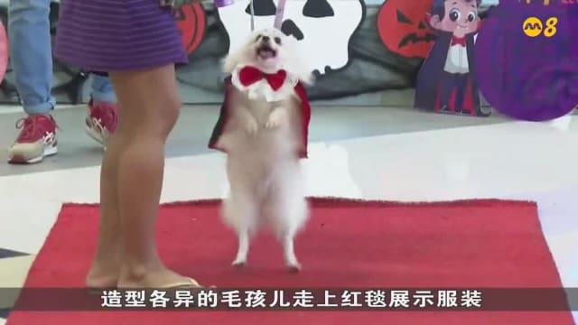 獅城有約 | 國際專題：萬圣節
