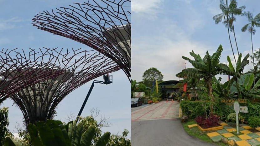 Gardens by the Bay, Bollywood Veggies among places visited by COVID-19 cases during infectious period Gardens by the Bay, Bollywood Veggies among places visited by COVID-19 cases during infectious period