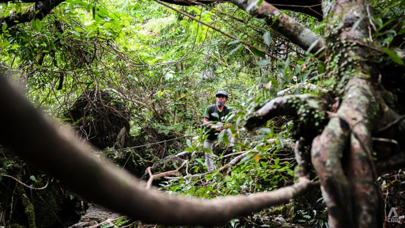 Rush for rare earth minerals in Southeast Asia compounding dangers for region's environmental defenders: Report Rush for rare earth minerals in Southeast Asia compounding dangers for region's environmental defenders: Report