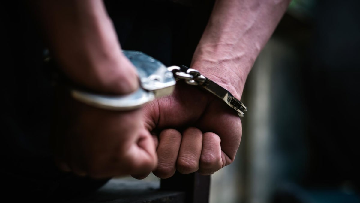 Man arrested for attacking and injuring two police officers in Clementi