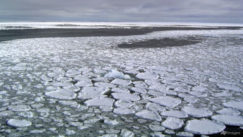 Global heat is just the latest 2023 extreme that shows an Earth in crisis