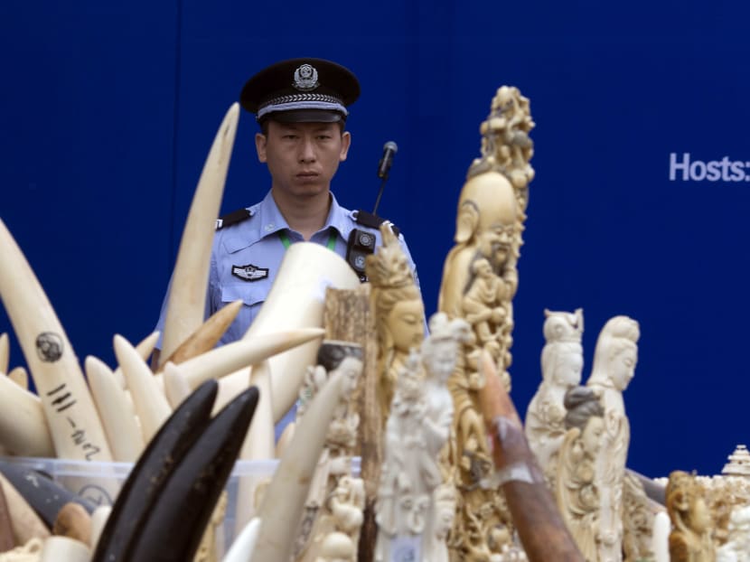 China destroys more than 660kg of smuggled ivory