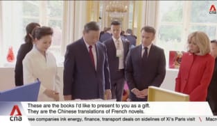 Xi flashes French culture enthusiast credentials as China courts Europe