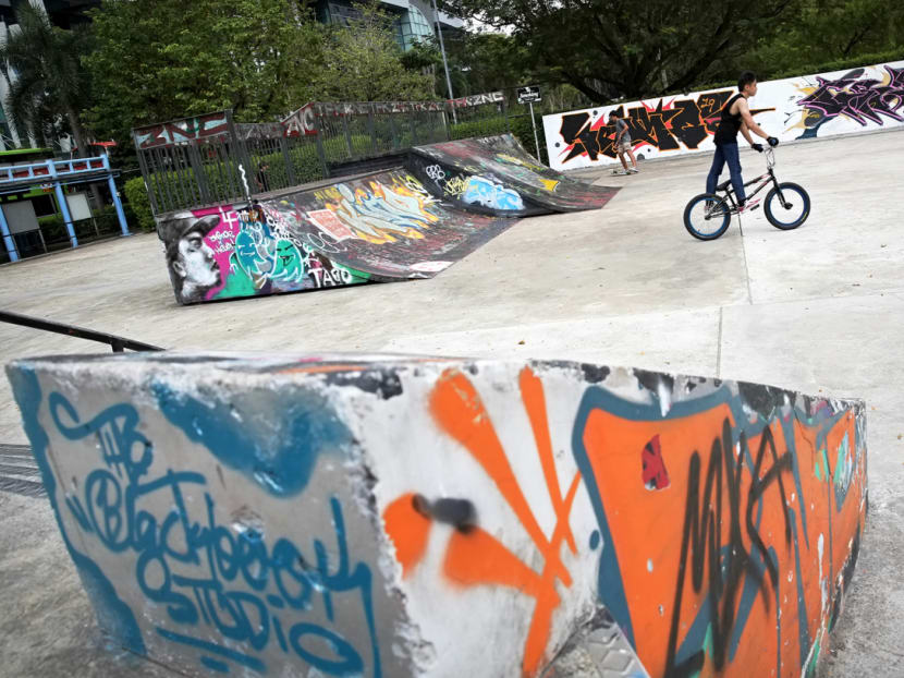 The Somerset Youth Belt, the stretch of Somerset Road that encompasses spaces such as *Scape, The Red Box and a skate park (pictured), is set to be revamped.