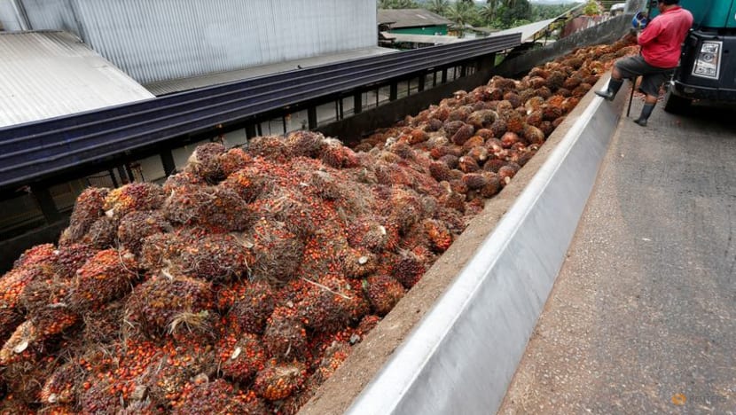 Indonesia's flip-flops give Malaysia edge in top palm oil market India Indonesia's flip-flops give Malaysia edge in top palm oil market India