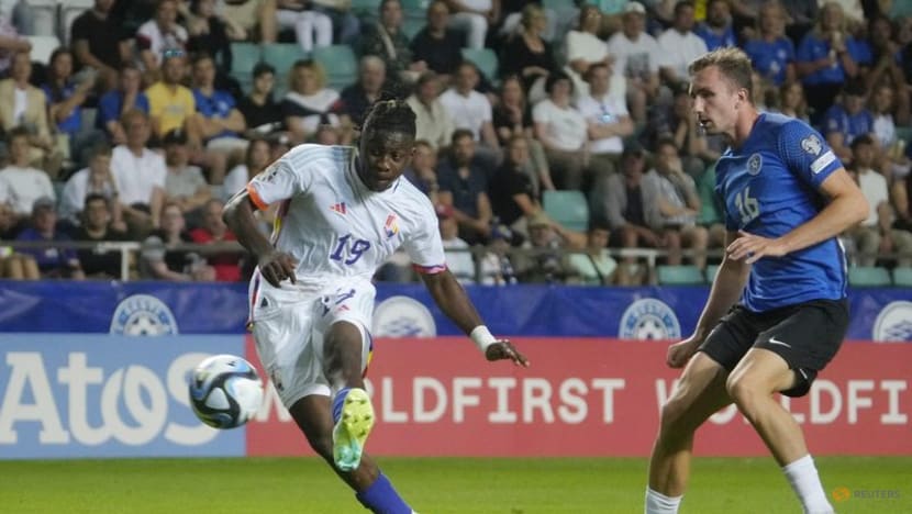 Lukaku double steers Belgium to victory in Estonia