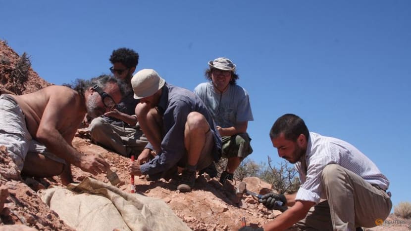 Remains of small armour-plated dinosaur unearthed in Argentina Remains of small armour-plated dinosaur unearthed in Argentina