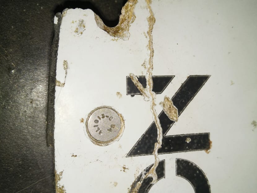 In this Feb 28, 2016 image provided by Blaine Gibson and the Australian Transport Safety Bureau (ATSB),  a piece of aircraft debris with the words "NO STEP" on it is seen after it was found washed up on a beach in Mozambique. Photo: ATSB via AP