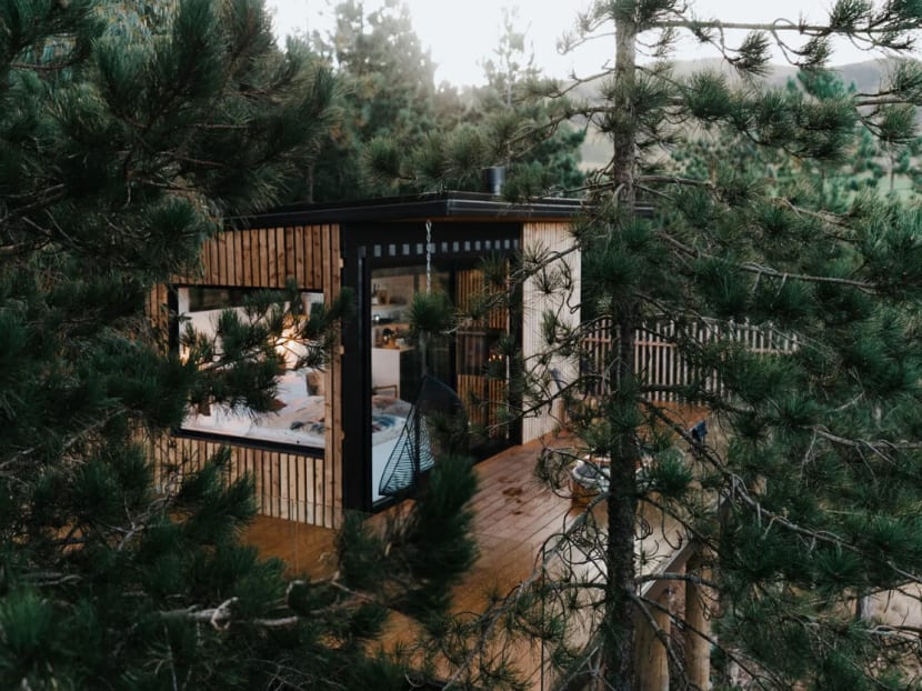 Geysers at night and luxury tree house stays: New things to do on your post-pandemic New Zealand vacation Geysers at night and luxury tree house stays: New things to do on your post-pandemic New Zealand vacation