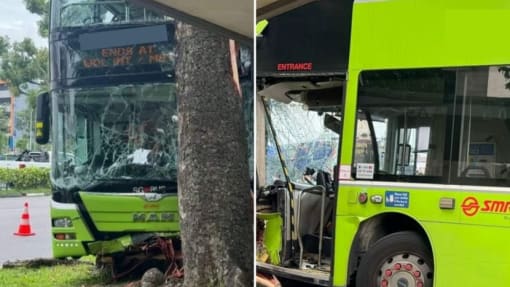 SMRT bus driver, 58, dies after crashing into tree in Woodlands; no commuters on board