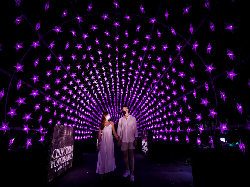 Find your sparkle with Christmas Wonderland at Gardens by the ...
