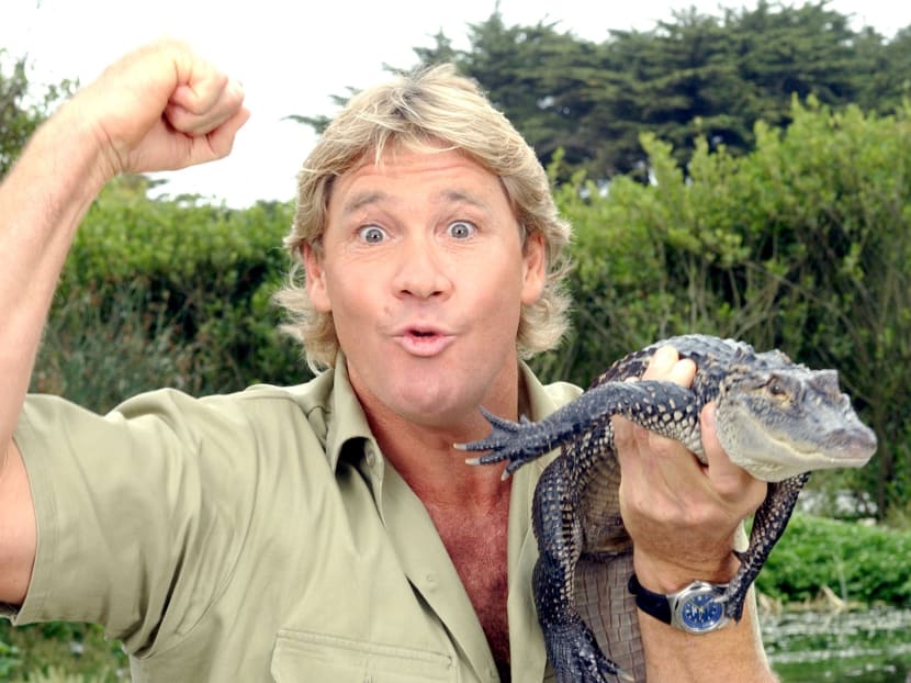 The author said that among other things, wildlife conservationist Steve Irwin helped her develop empathy and understanding towards others. The author said that among other things, wildlife conservationist Steve Irwin helped her develop empathy and understanding towards others.