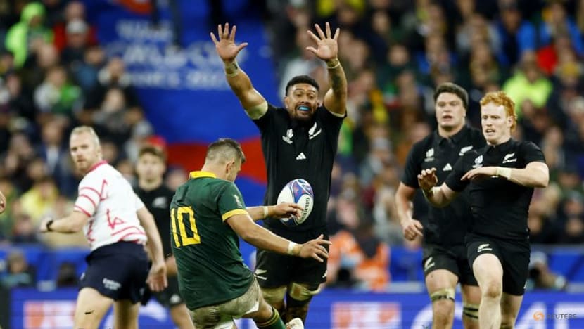Springbok belief and physicality make for world beating mix 