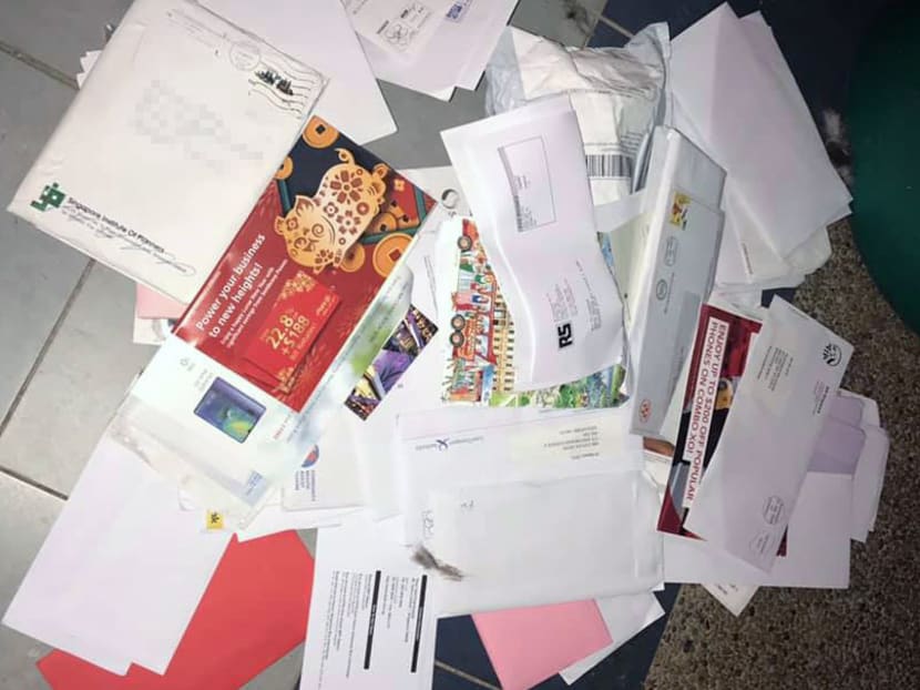 Facebook user Alyce Kathlyn posted a series of photos on Monday night (Jan 28), showing unopened letters from government agencies such as the Land Transport Authority and the Ministry of Health's Community Health Assist Scheme, addressed to residents of Ang Mo Kio Avenue 4 and 5, all lying in public dustbins.