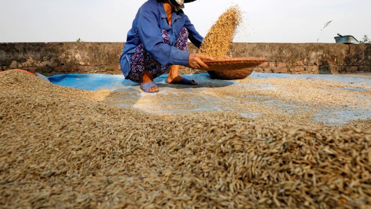 Exclusive-Thai, Vietnamese exporters renegotiate 500,000 T of rice deals