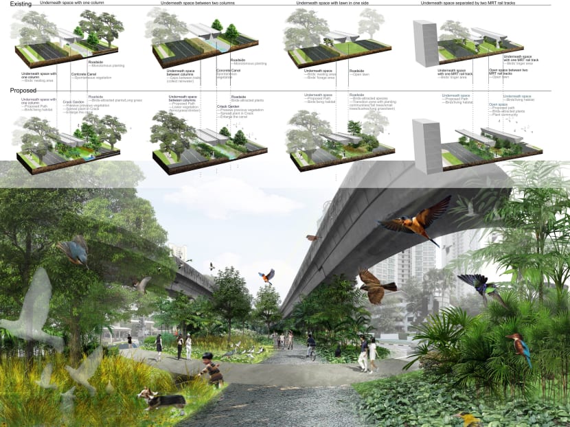 ‘Rethinking the Derelict Landscape’ by Liu Yue Hua proposes to transform an underutilised stretch of landscape beneath elevated MRT viaducts into an ecological corridor for birds. Photo: Liu Yue Hua