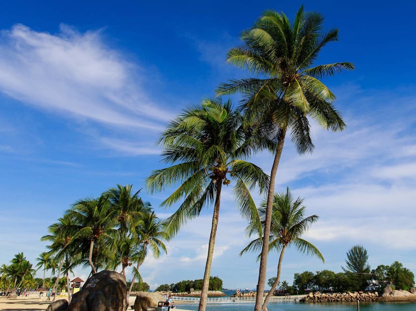 Plan ahead for your next jaunt to Siloso, Palawan or Tanjong Beach.