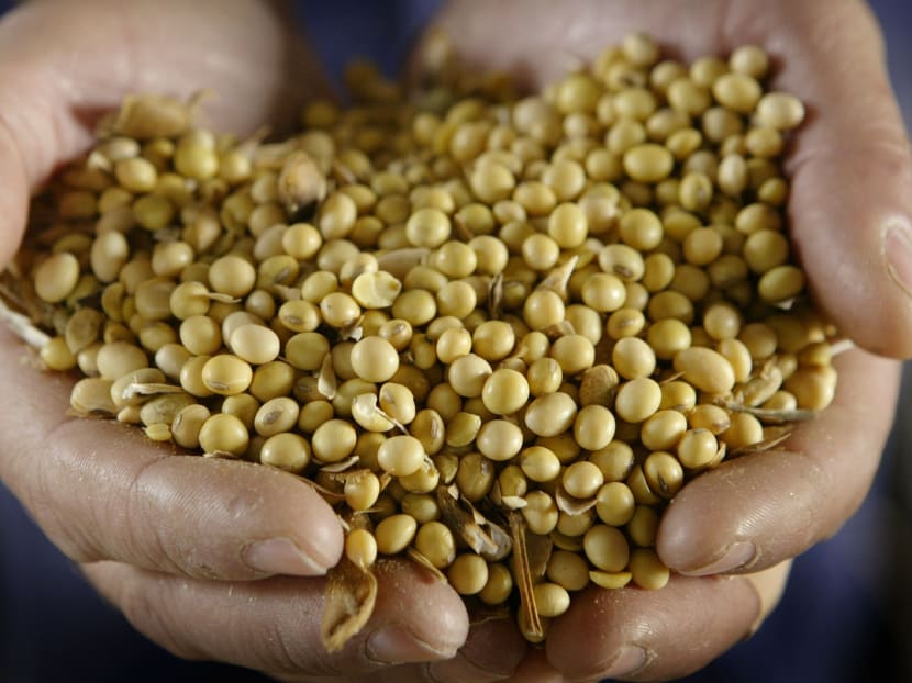 Genetically modified soy beans. AFP file photo