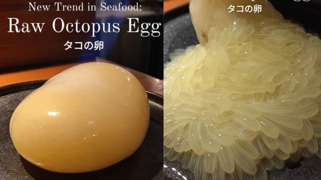 本地日本餐厅推生章鱼卵 网民：不必什么都拿来吃吧