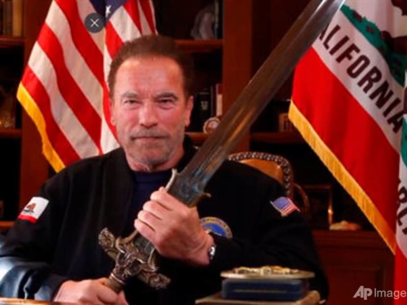 Arnold Schwarzenegger compares US Capitol mob to Nazis