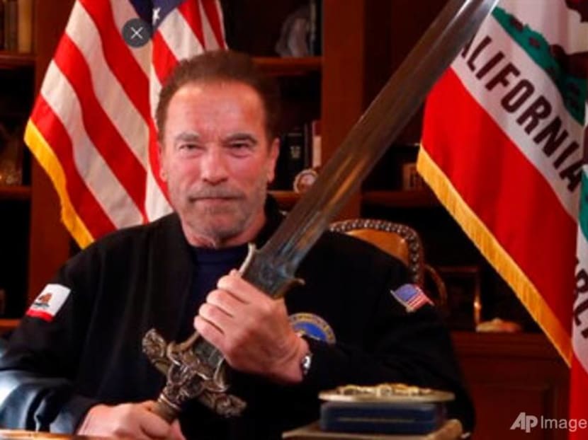 Arnold Schwarzenegger compares US Capitol mob to Nazis Arnold Schwarzenegger compares US Capitol mob to Nazis