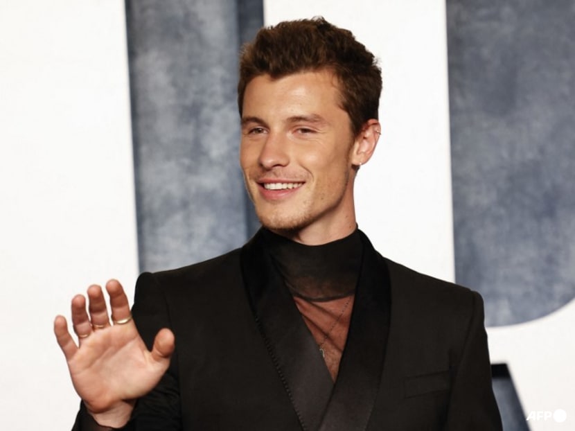 Shawn Mendes announces release date for new album - CNA Lifestyle