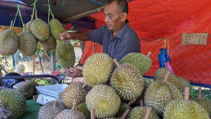 Durian M'sia kurang; harga naik sehingga 50 peratus