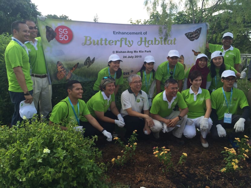 Bishan-Ang Mo Kio Park to blossom into habitat for more butterflies