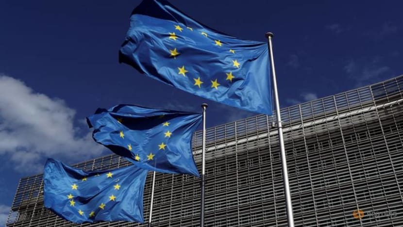 EU offers US$476 million to WHO-led COVID-19 vaccine initiative EU offers US$476 million to WHO-led COVID-19 vaccine initiative