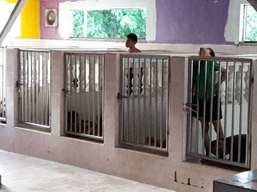 Residents at the Batu Gajah Disabled Children’s Welfare Home being kept in enclosures. Photo: Vivien Arie/Facebook