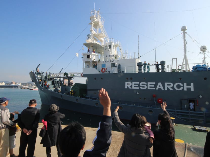 This file photo taken on December 1, 2015 shows a Japanese whaling ship leaving the port of Shimonoseki in Yamaguchi prefecture, western Japan to resume whale hunting in the Antarctic. Photo: AFP