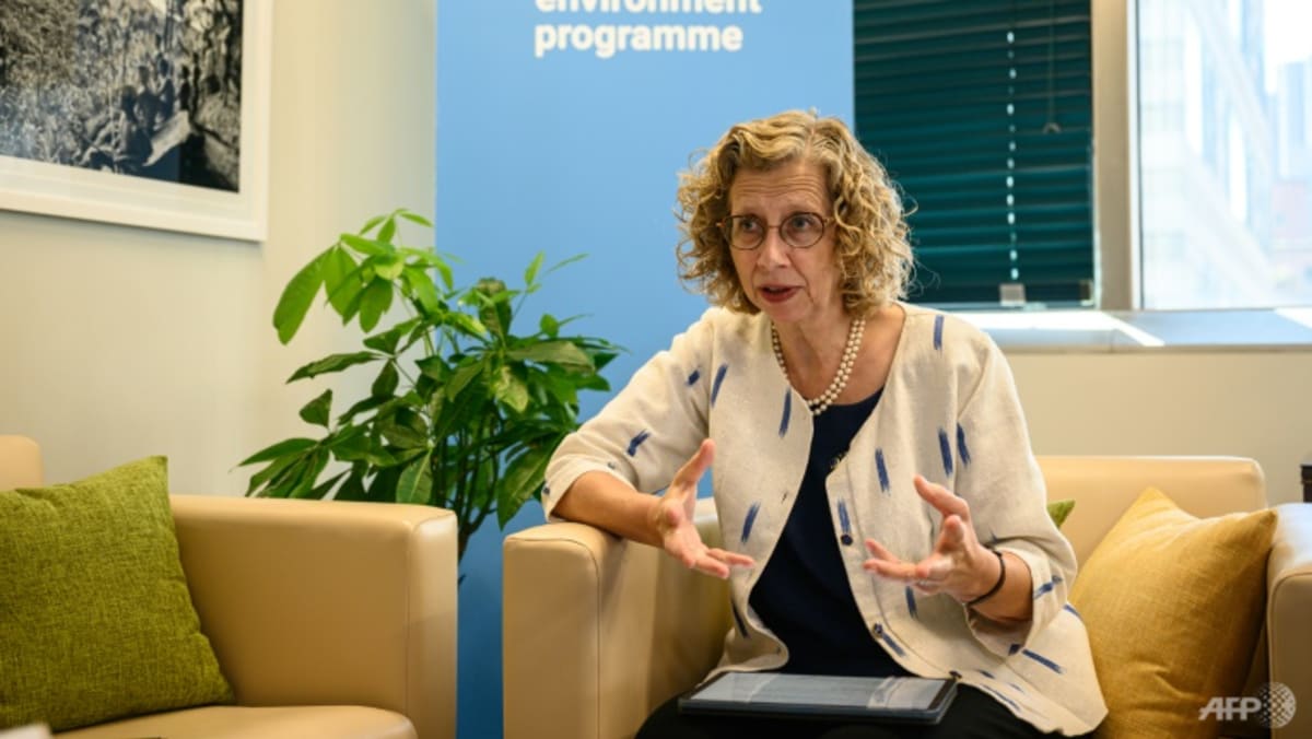 Recycling plastic not enough, warns UN environment chief Recycling plastic not enough, warns UN environment chief