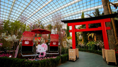 See Sakura & Hang With Hello Kitty At Gardens By The Bay, Where There Are Plenty Of Photo Spots For A Perfect Japan Faux-cation