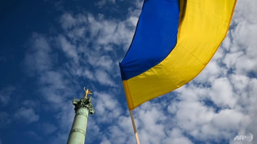 France spent €630 million euros hosting Ukrainian refugees in 2022 France spent €630 million euros hosting Ukrainian refugees in 2022