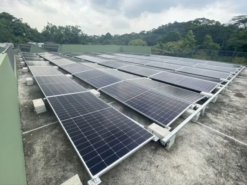 Mandai set to become first carbon-neutral precinct in Singapore by 2024 Mandai set to become first carbon-neutral precinct in Singapore by 2024
