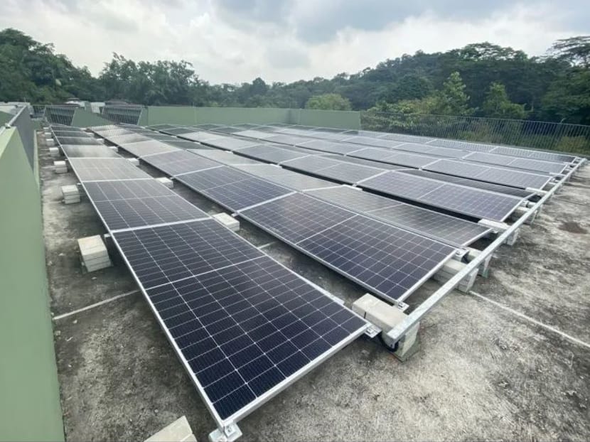 Solar panels installed above the animal quarantine building at Mandai.