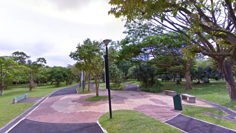 NSman, 25, dies after collapsing while taking part in NS FIT exercise session at West Coast Park NSman, 25, dies after collapsing while taking part in NS FIT exercise session at West Coast Park