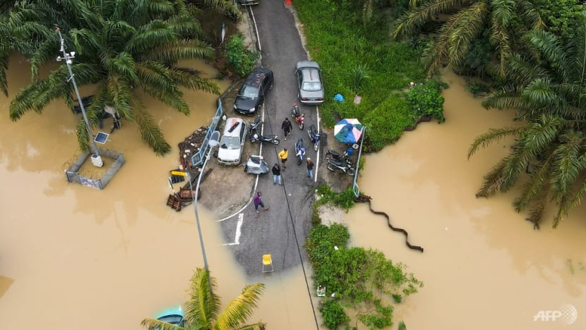 Clogged drainage along rivers among key reasons why Johor is grappling with floods: Experts